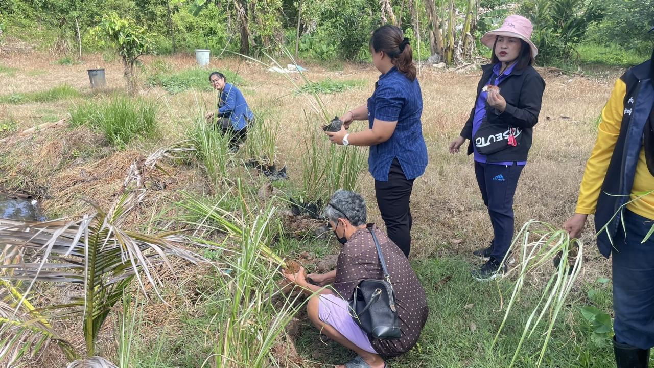 ภาพประกอบที่ 8