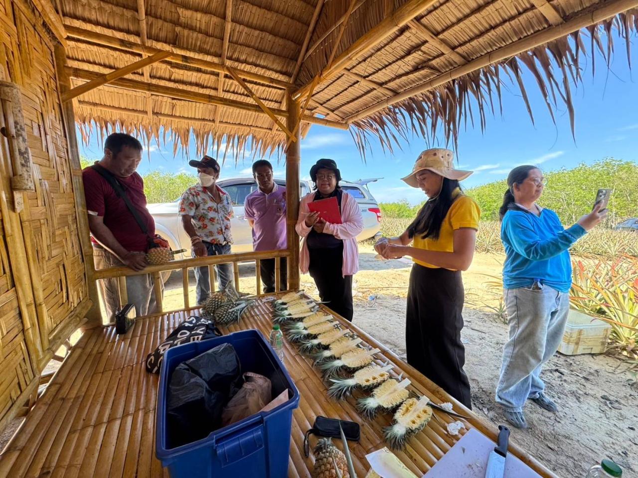 ภาพประกอบที่ 2