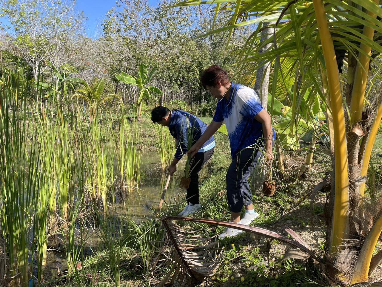 ภาพประกอบที่ 7