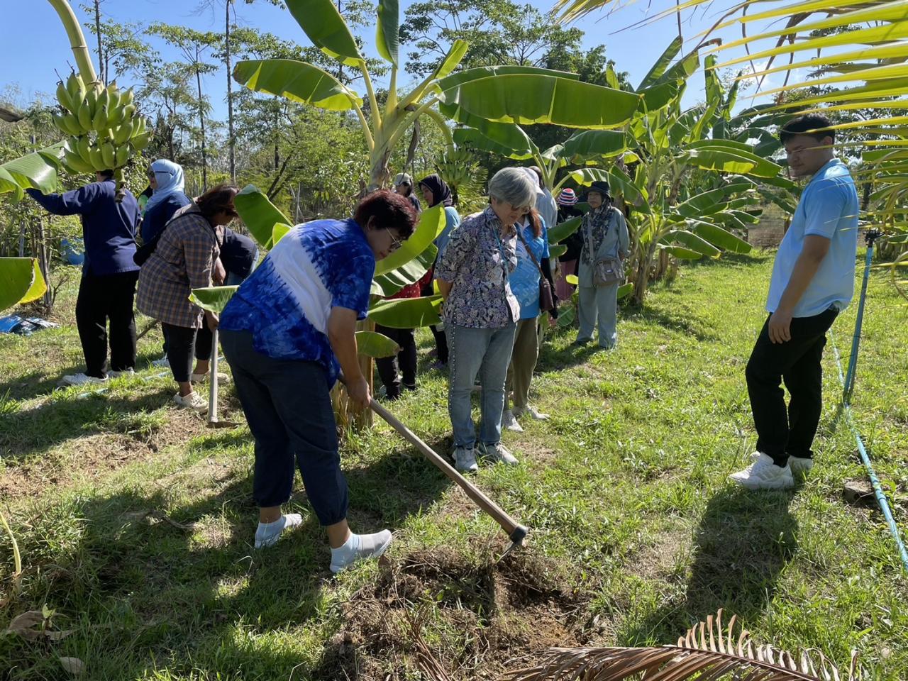 ภาพประกอบที่ 8