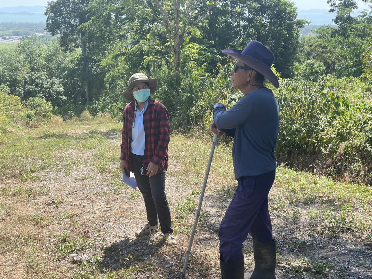 ภาพประกอบที่ 0