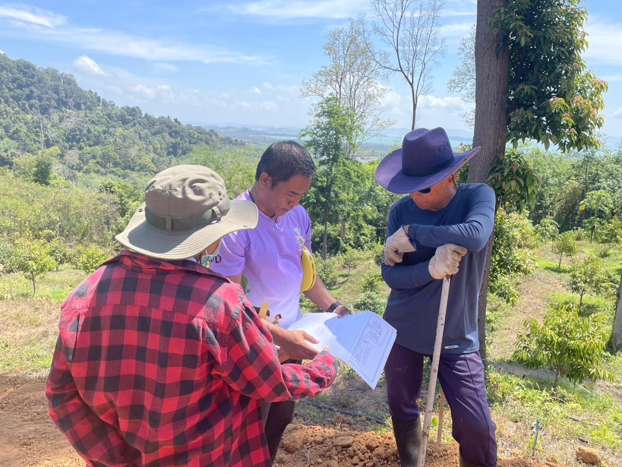 ภาพประกอบที่ 3