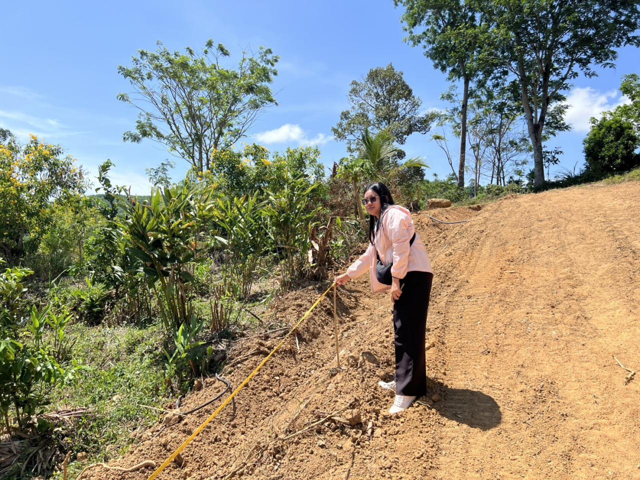 ภาพประกอบที่ 5