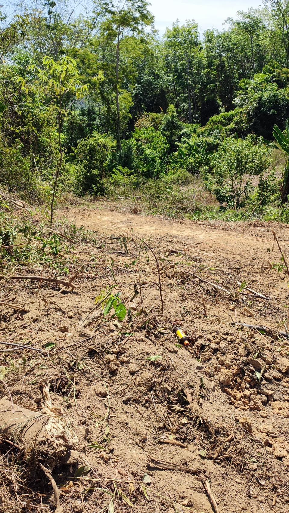 ภาพประกอบที่ 8