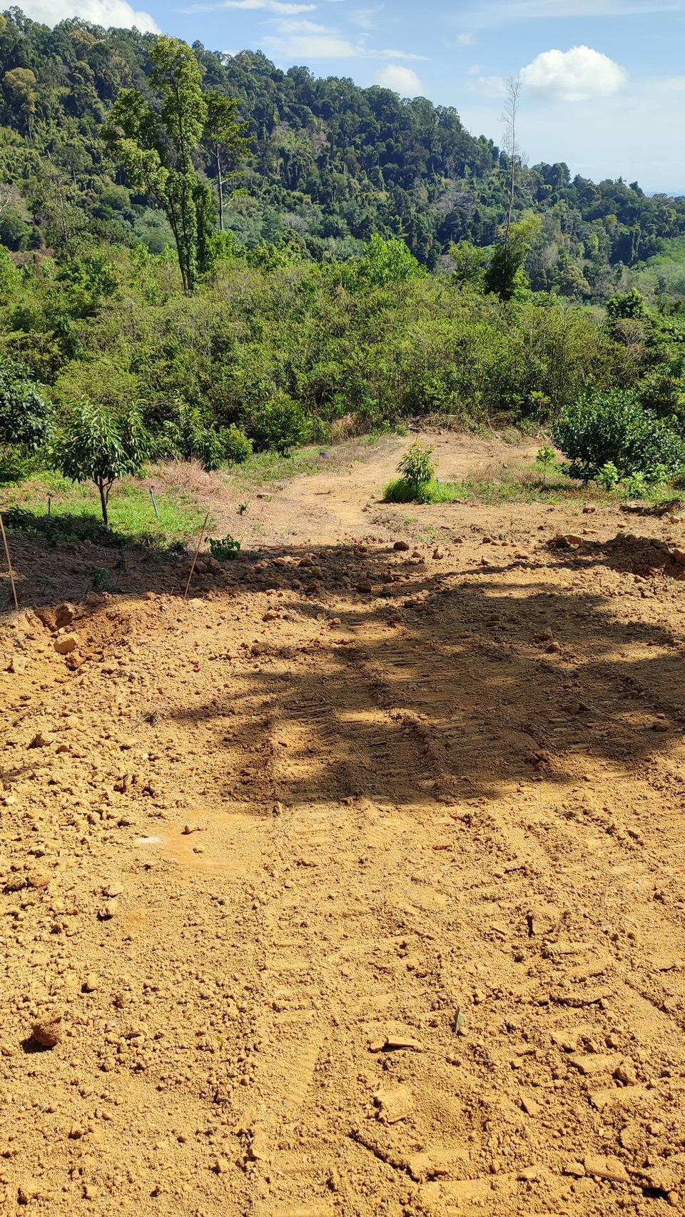 ภาพประกอบที่ 10