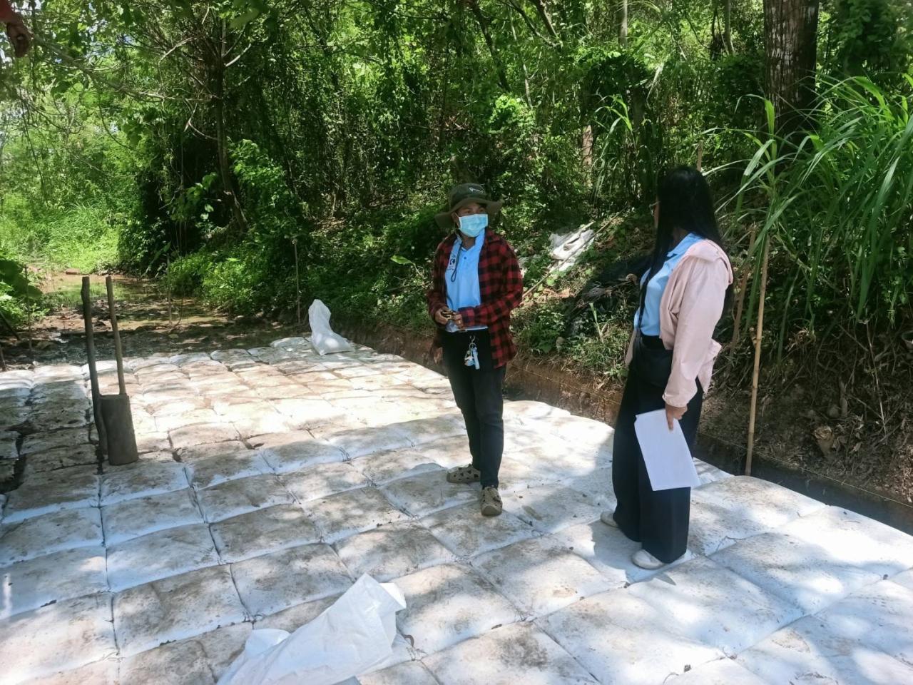 ภาพประกอบที่ 13