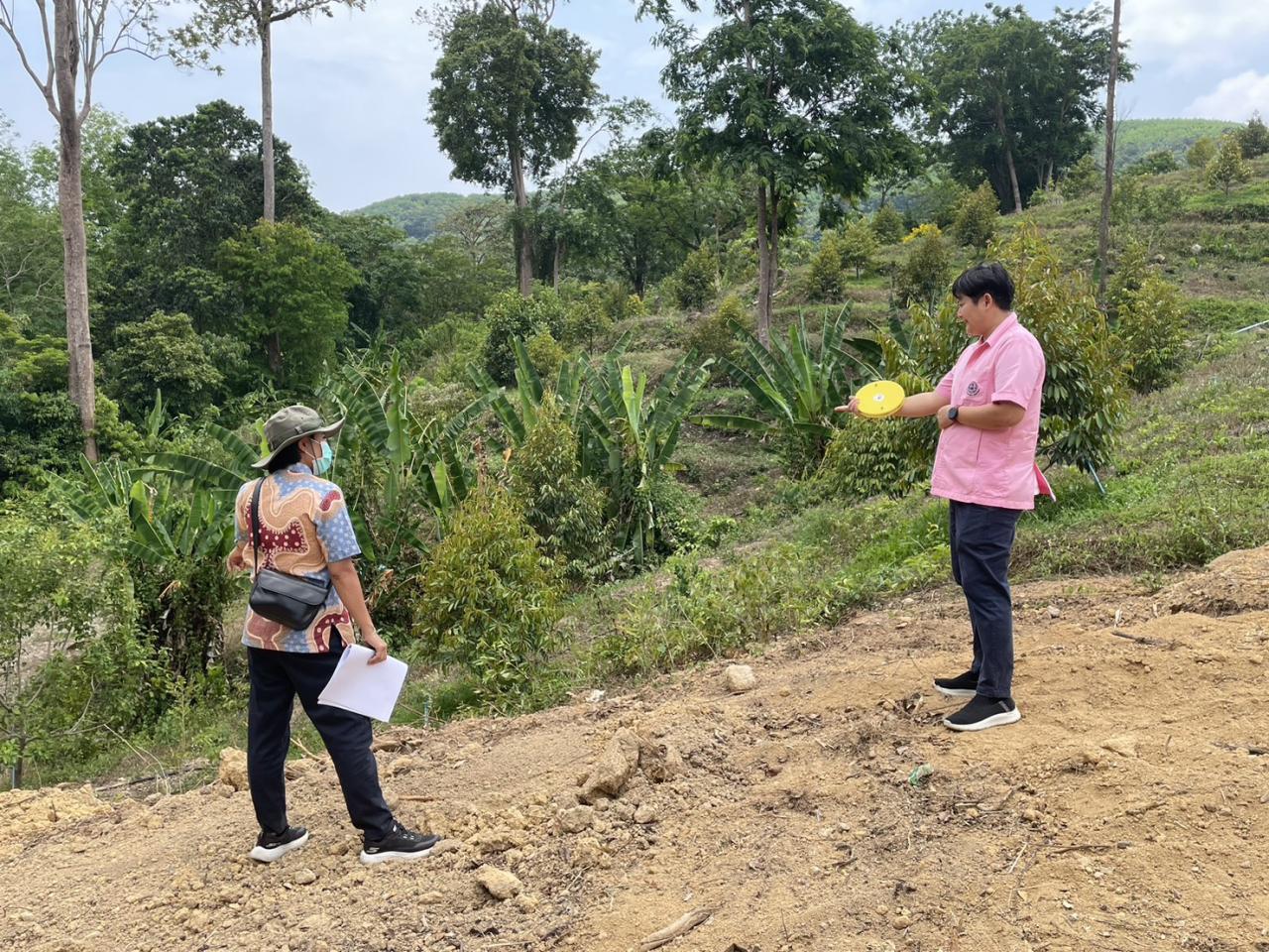 ภาพประกอบที่ 0