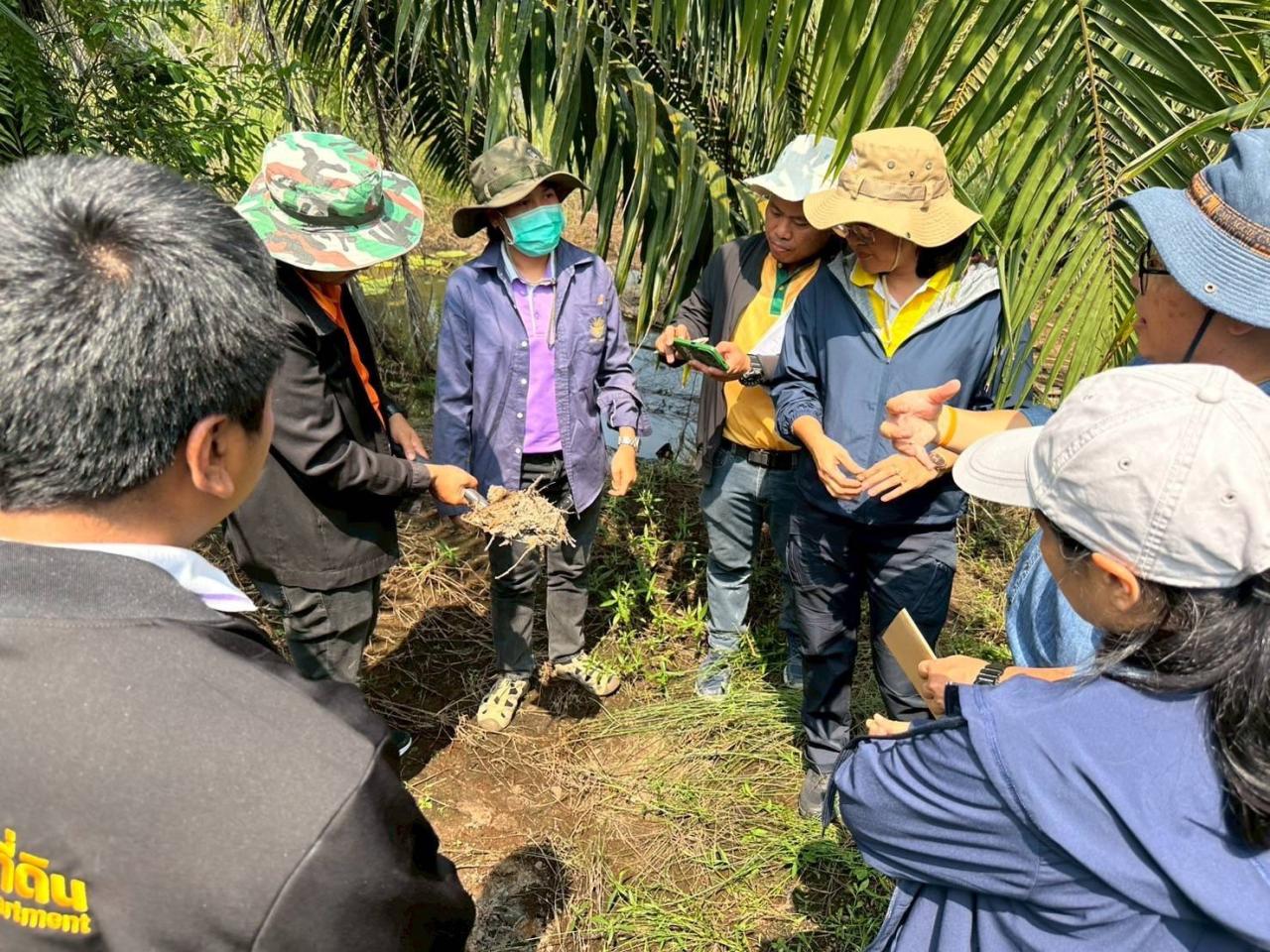 ภาพประกอบที่ 4