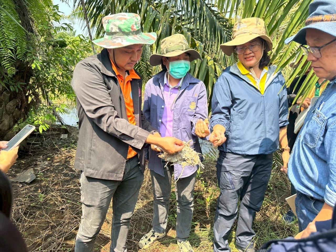 ภาพประกอบที่ 5