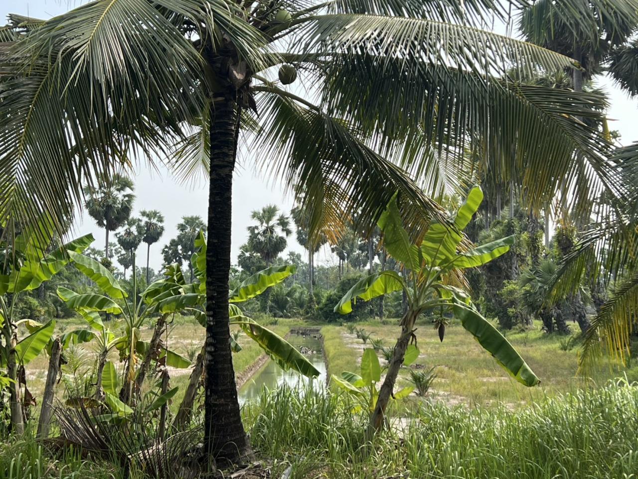 ภาพประกอบที่ 6