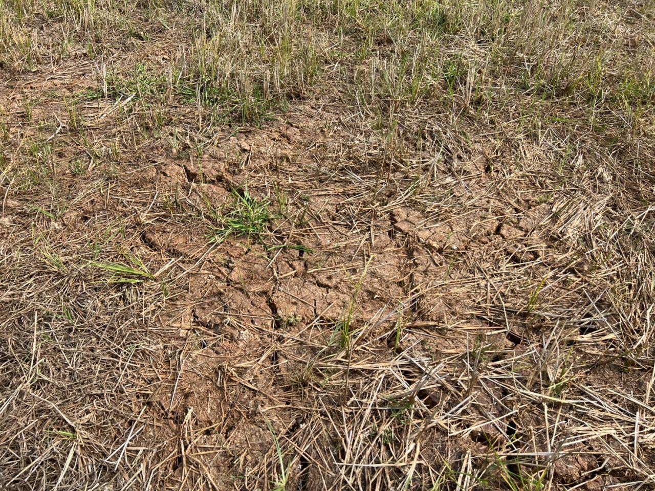 ภาพประกอบที่ 8