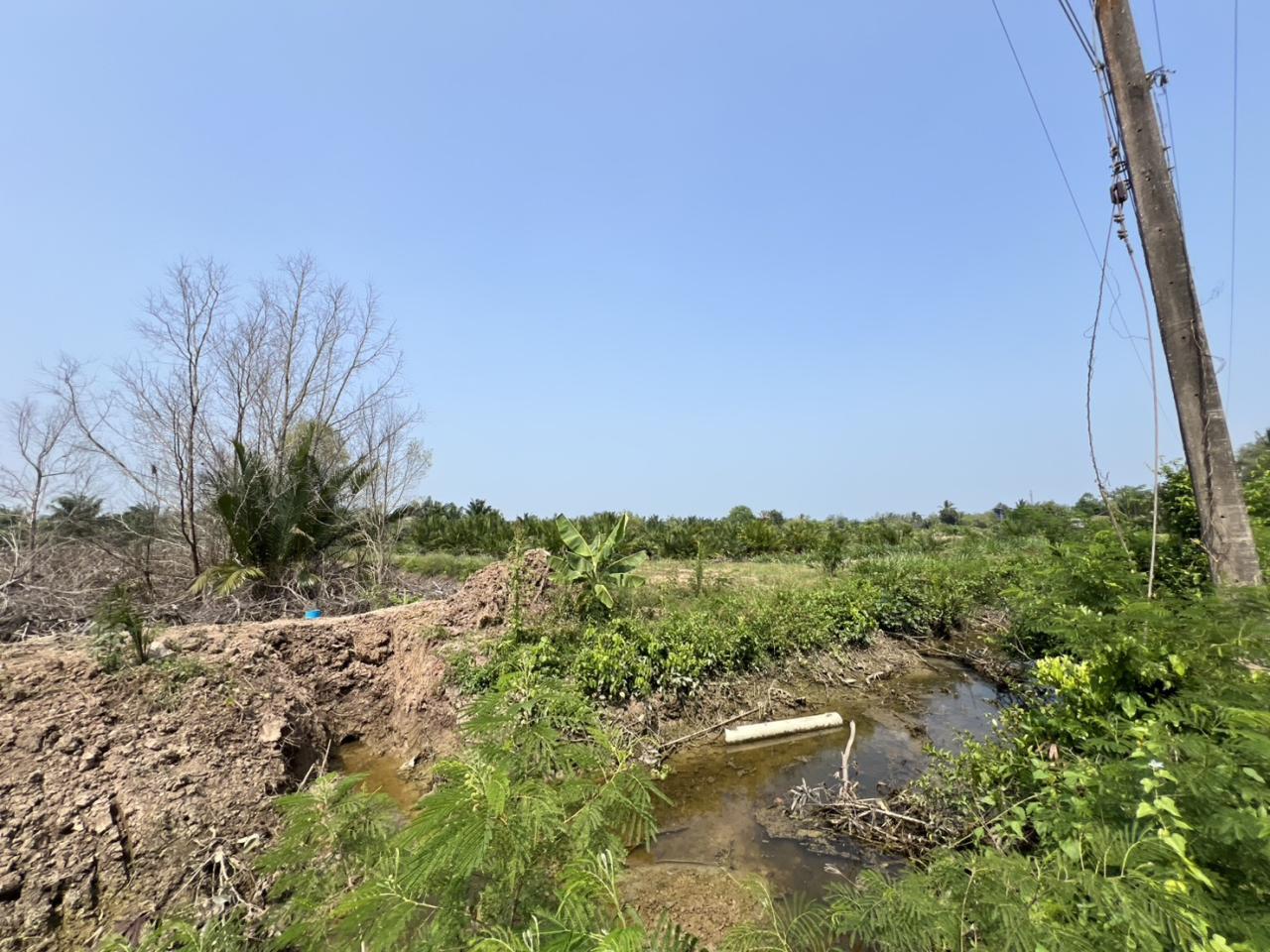 ภาพประกอบที่ 10