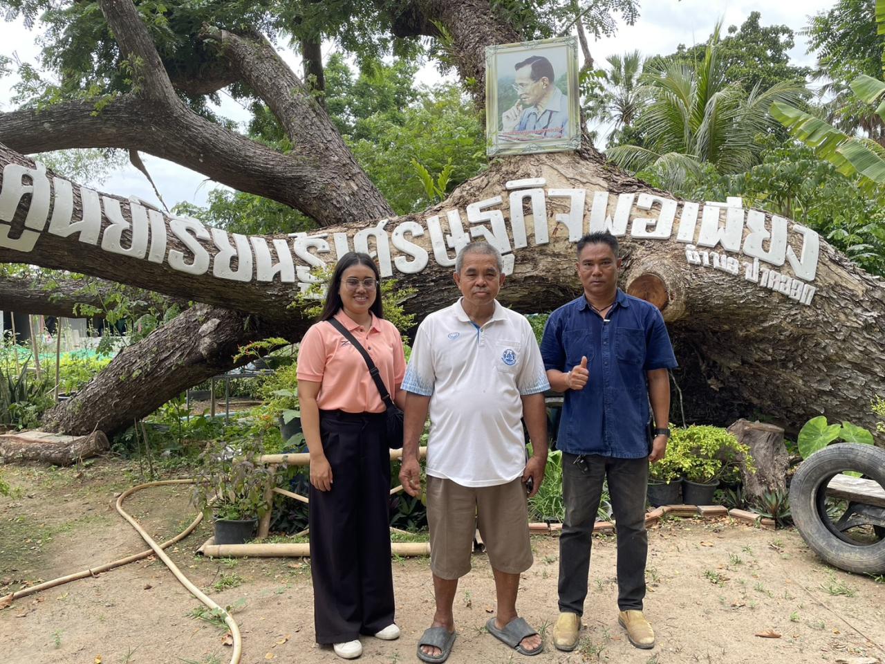 ภาพประกอบที่ 0