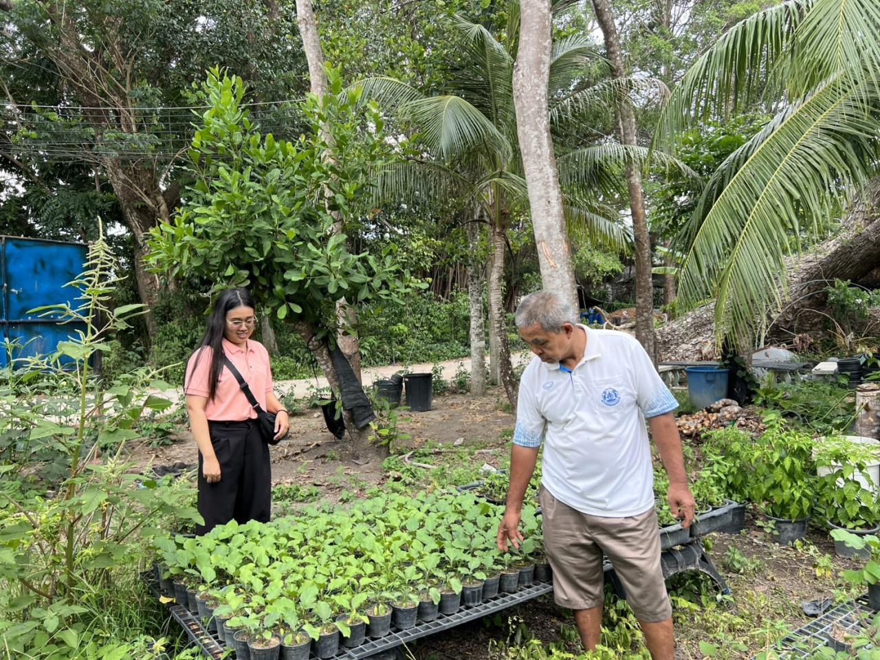 ภาพประกอบที่ 1