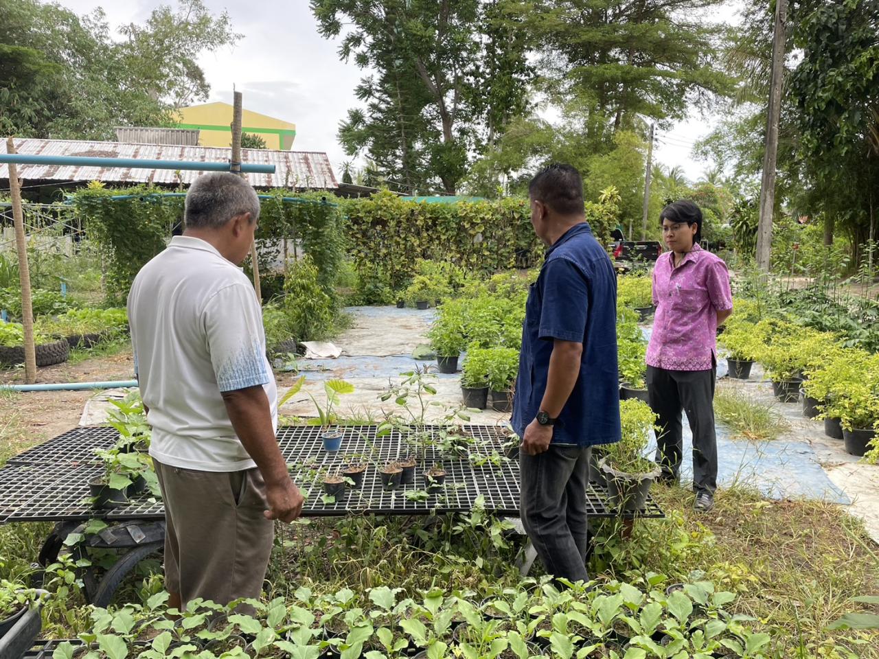 ภาพประกอบที่ 2