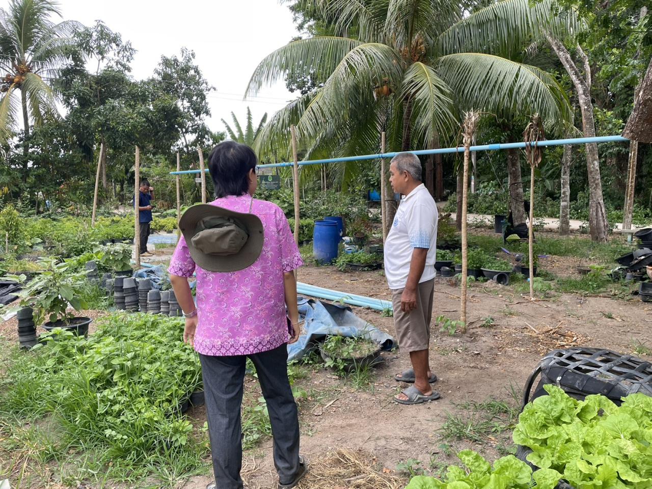 ภาพประกอบที่ 3