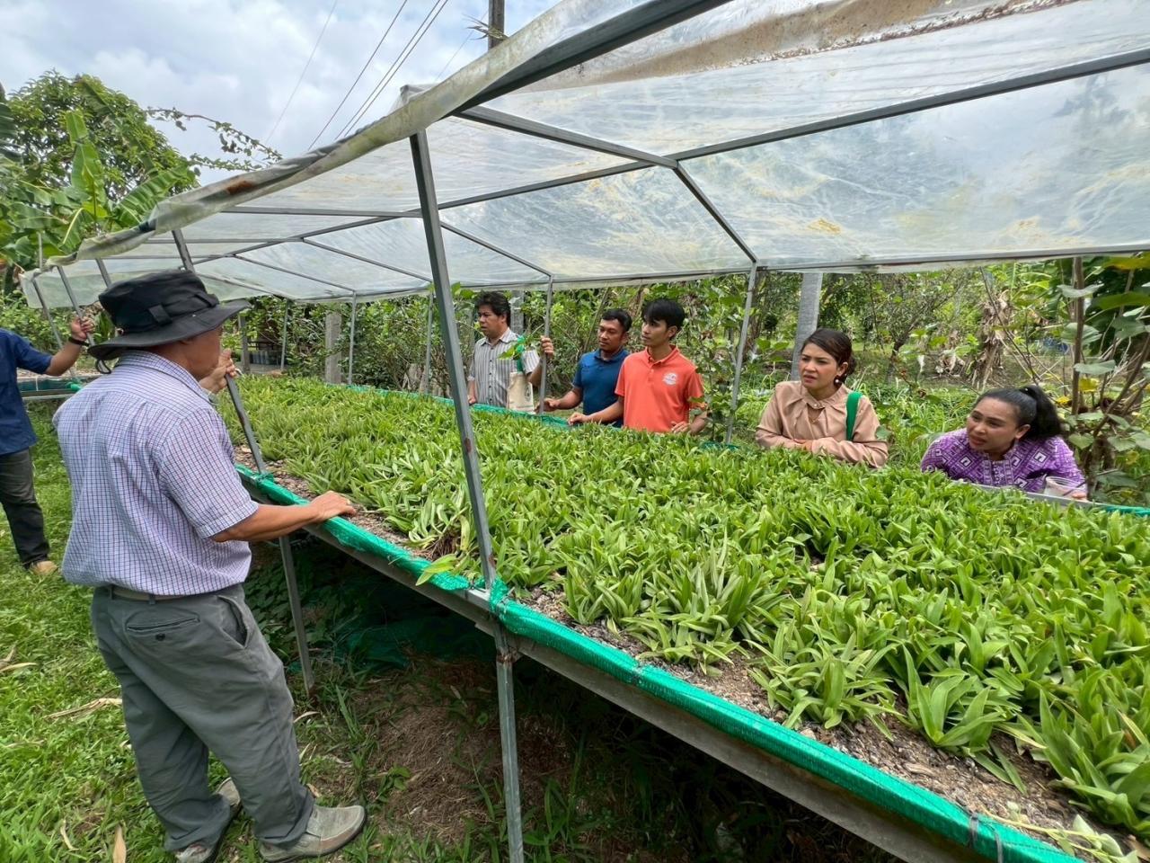 ภาพประกอบที่ 4