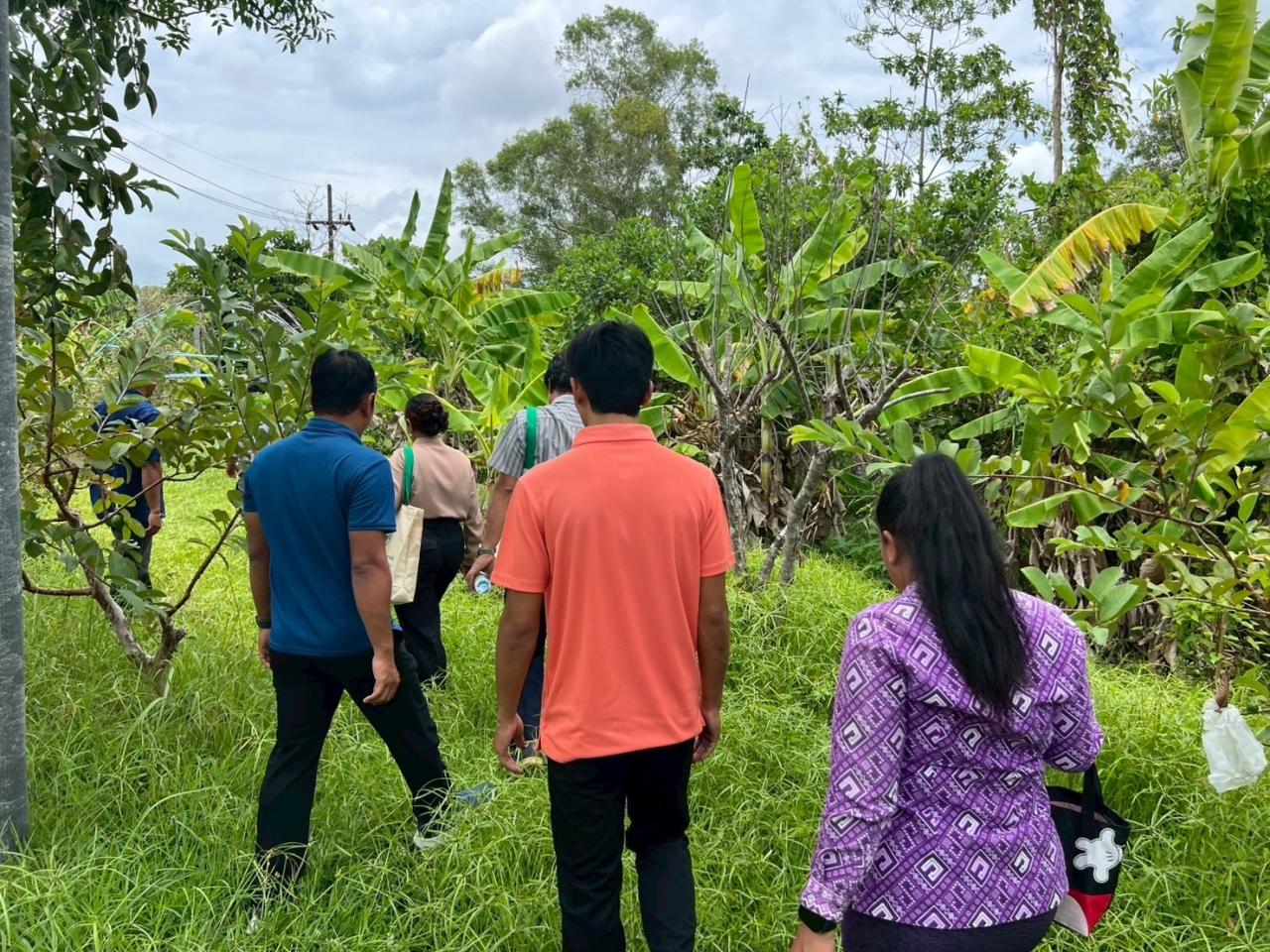 ภาพประกอบที่ 5