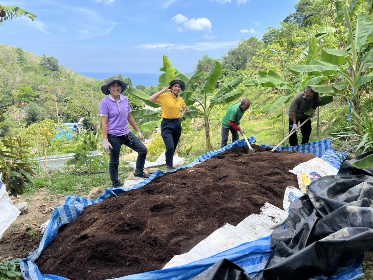 ภาพประกอบที่ 4