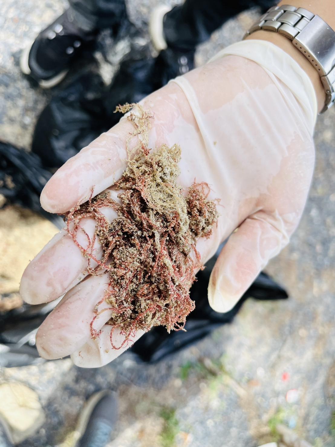 ภาพประกอบที่ 6