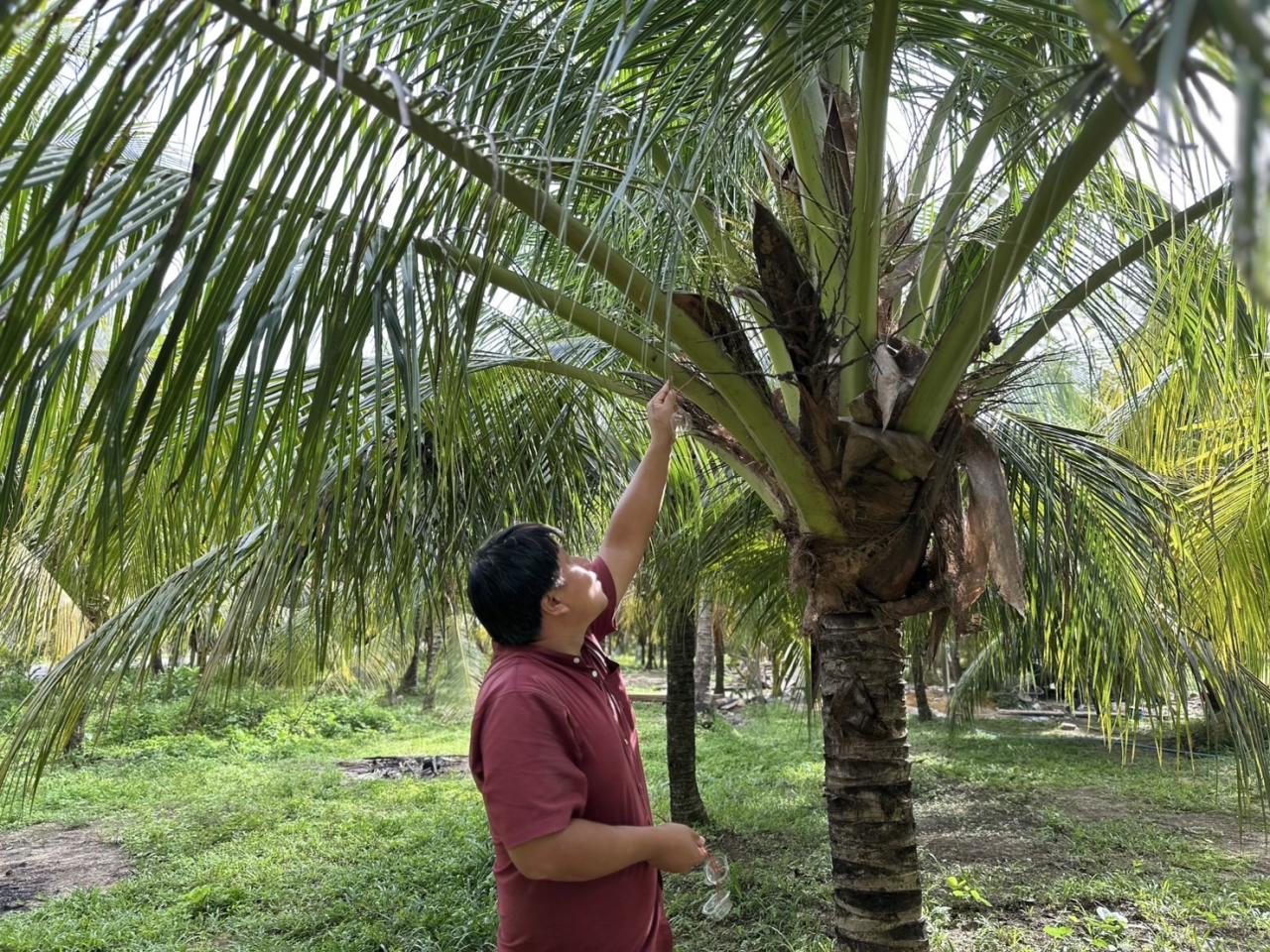 ภาพประกอบที่ 0