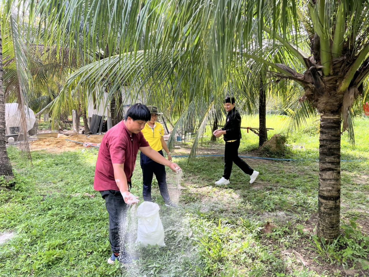 ภาพประกอบที่ 1