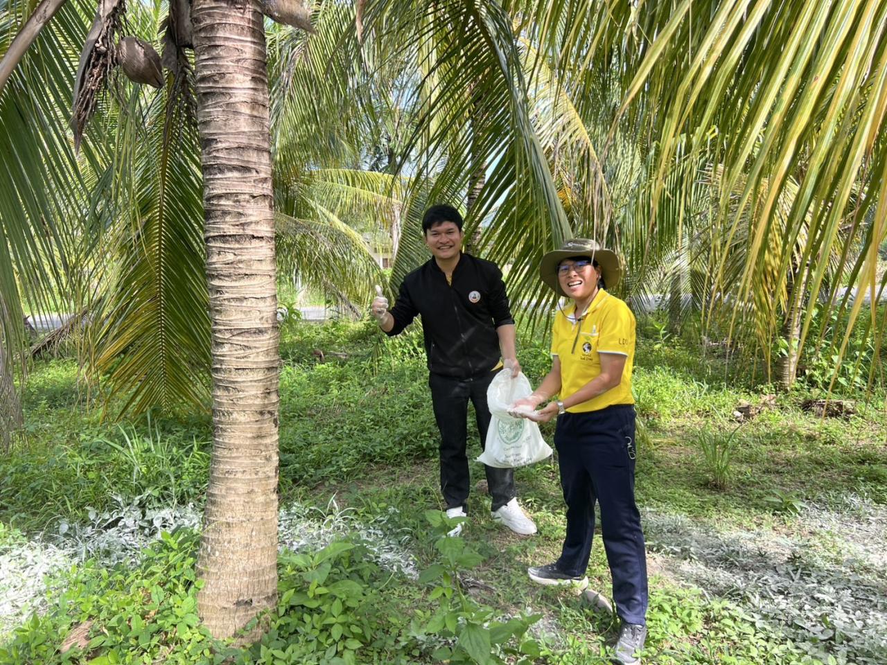 ภาพประกอบที่ 2