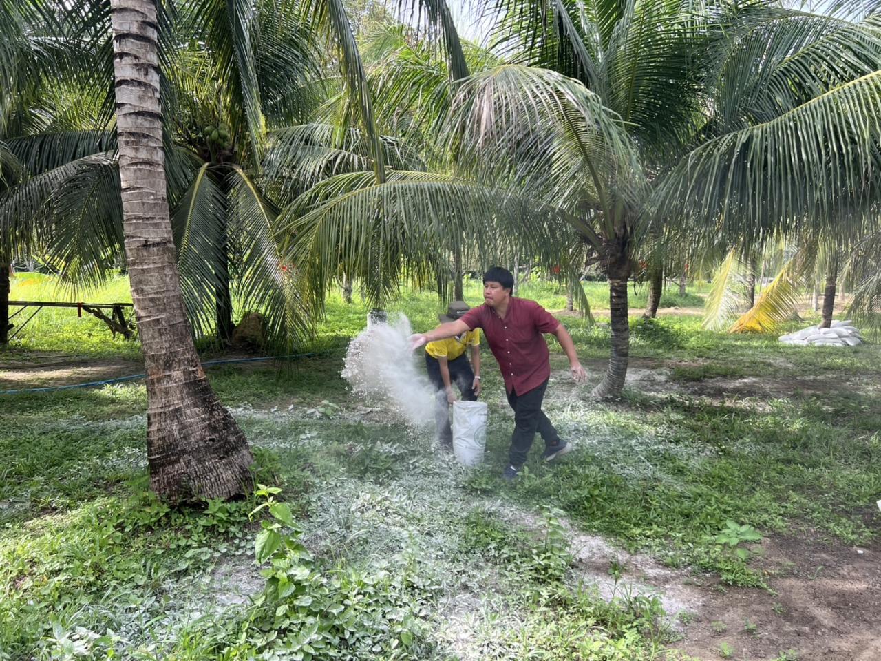 ภาพประกอบที่ 3
