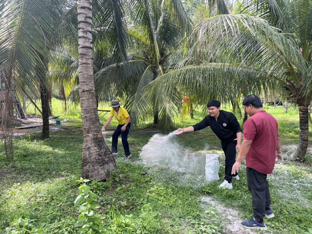 ภาพประกอบที่ 4