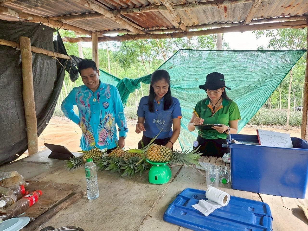 ภาพประกอบที่ 1