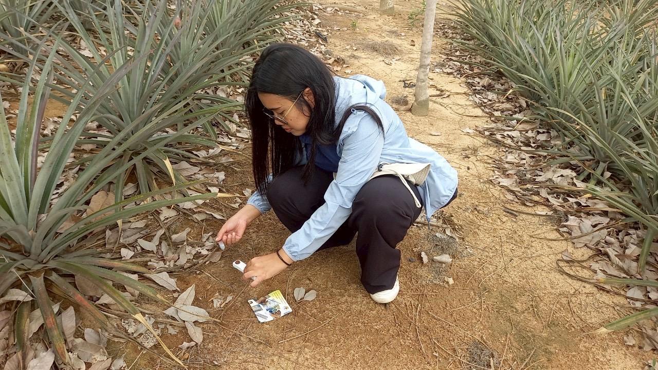 ภาพประกอบที่ 2