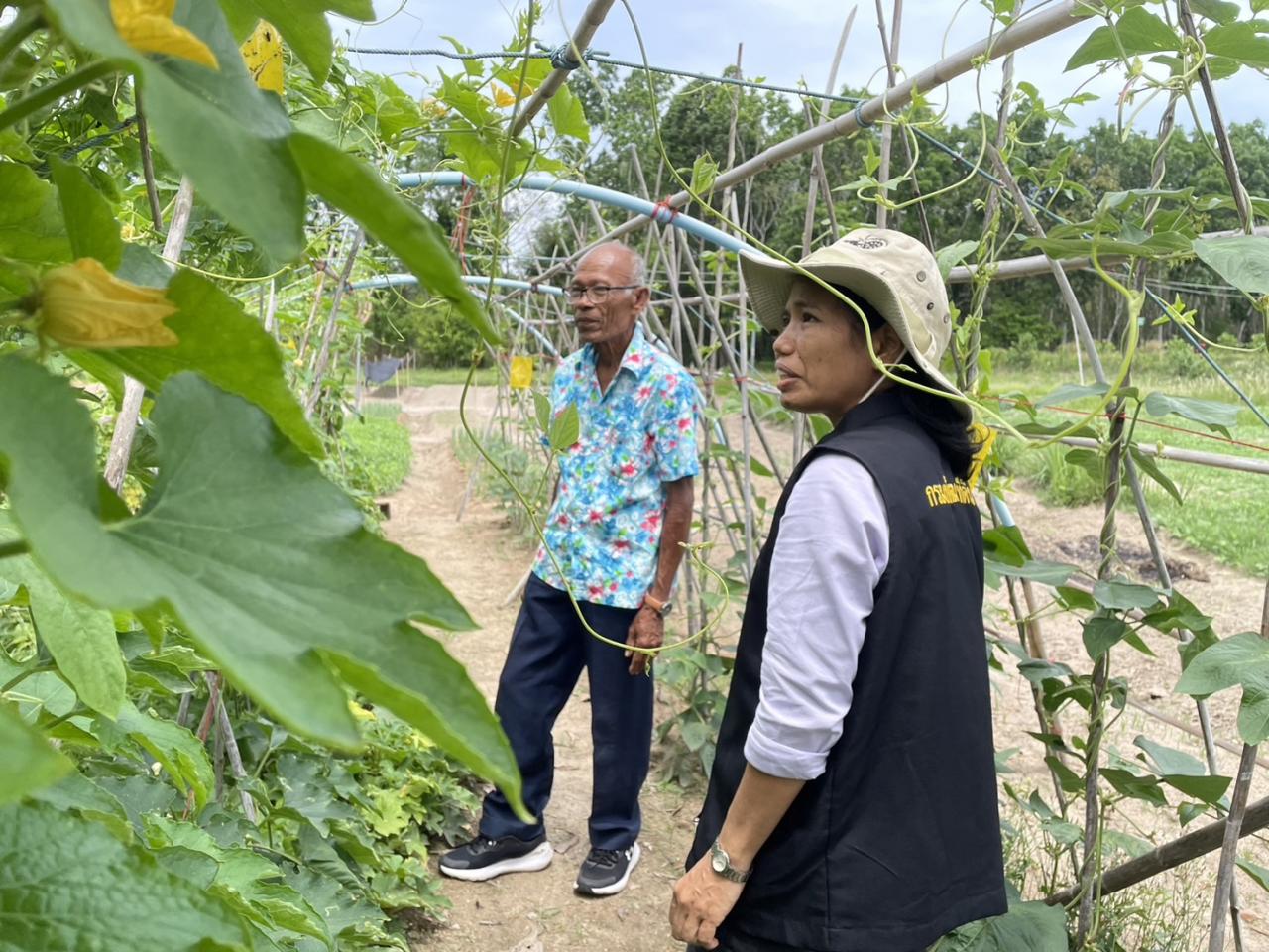 ภาพประกอบที่ 0