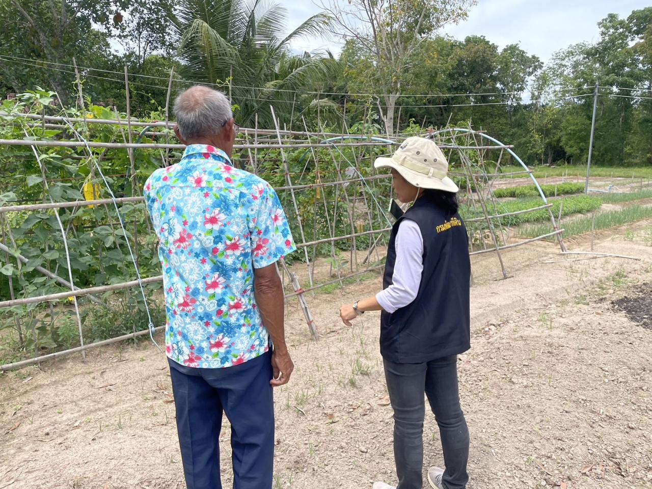 ภาพประกอบที่ 1