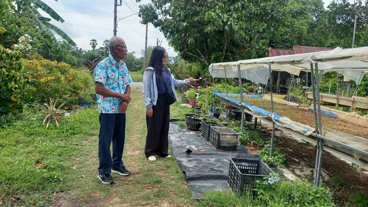 ภาพประกอบที่ 3