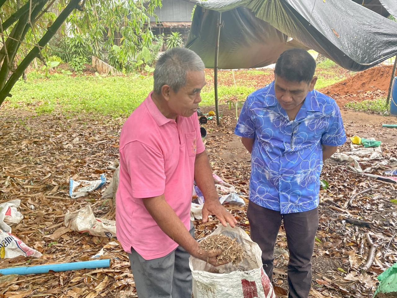 ภาพประกอบที่ 5