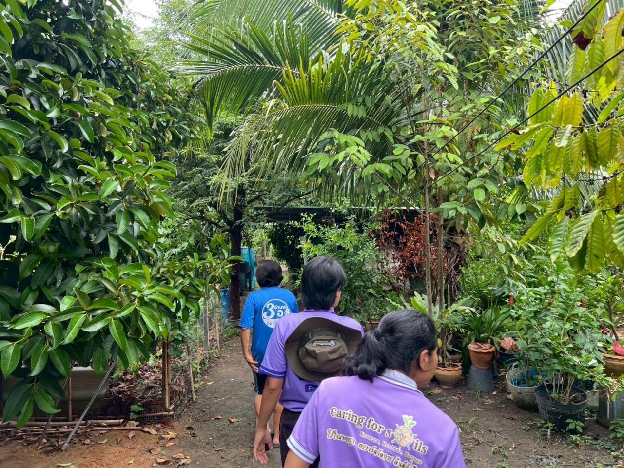 ภาพประกอบที่ 0