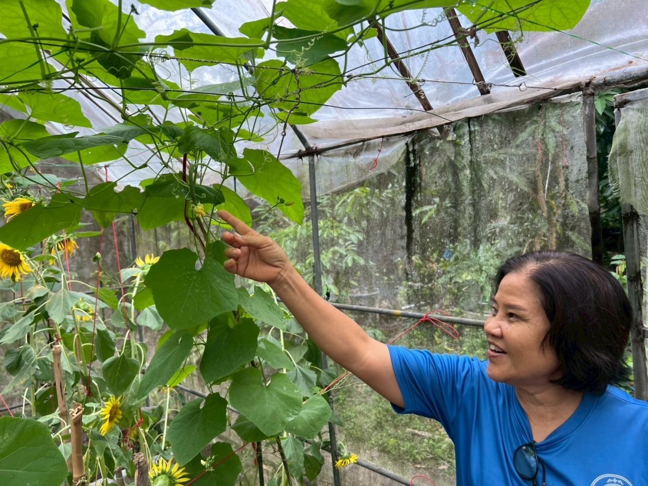 ภาพประกอบที่ 3