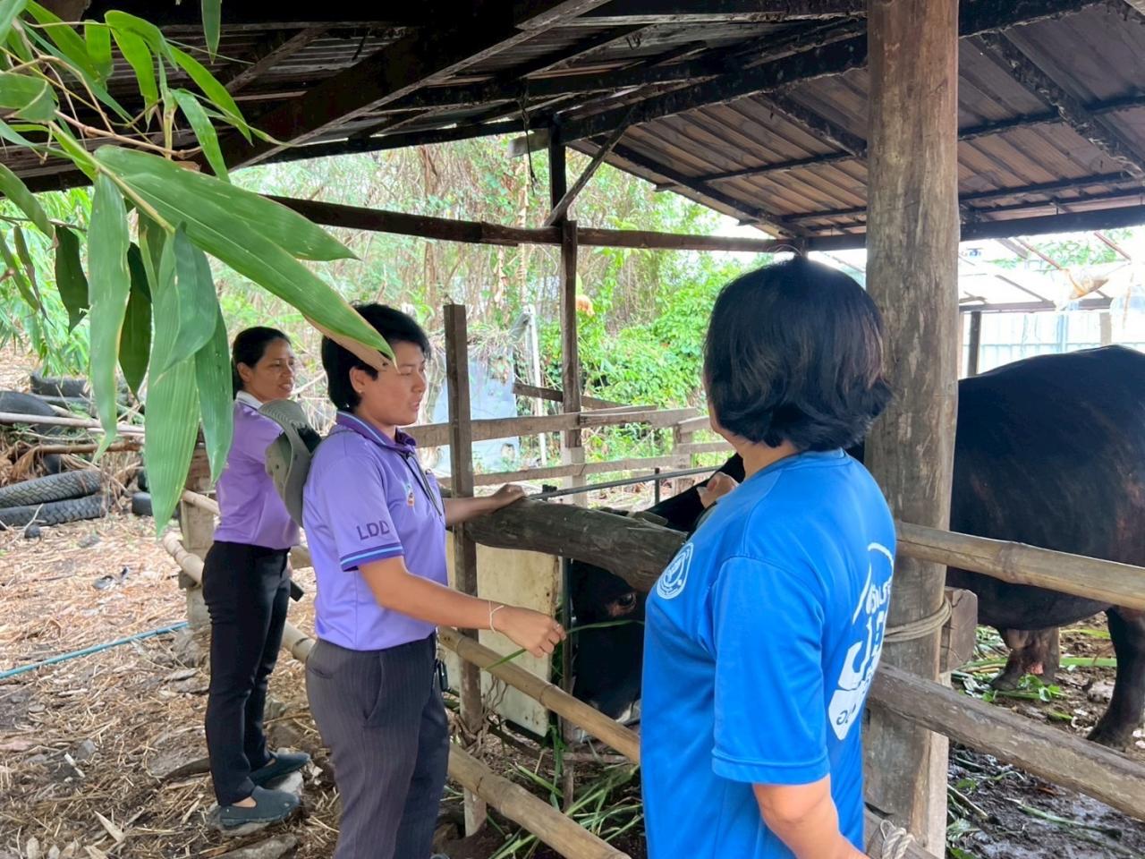 ภาพประกอบที่ 6