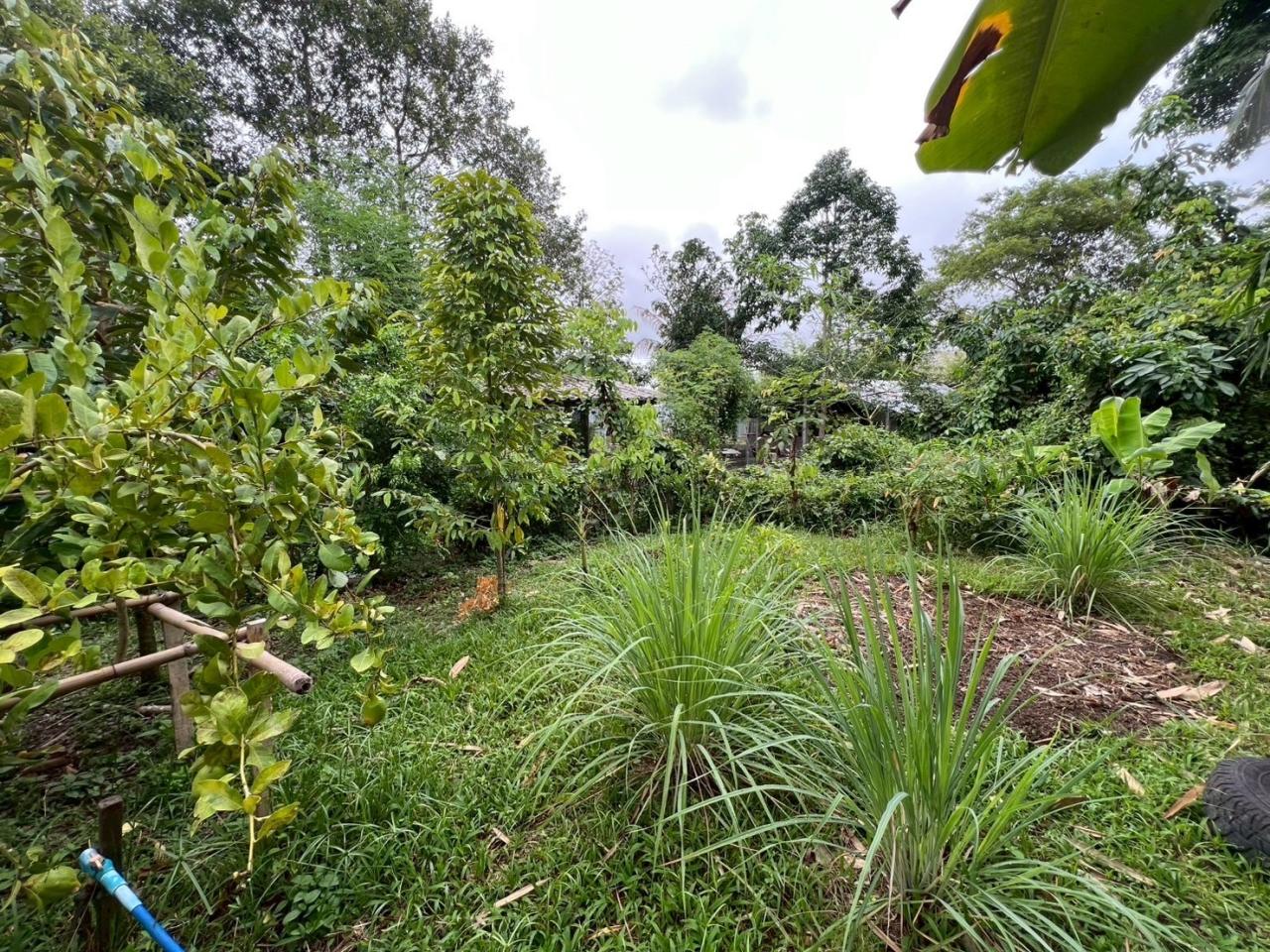 ภาพประกอบที่ 7