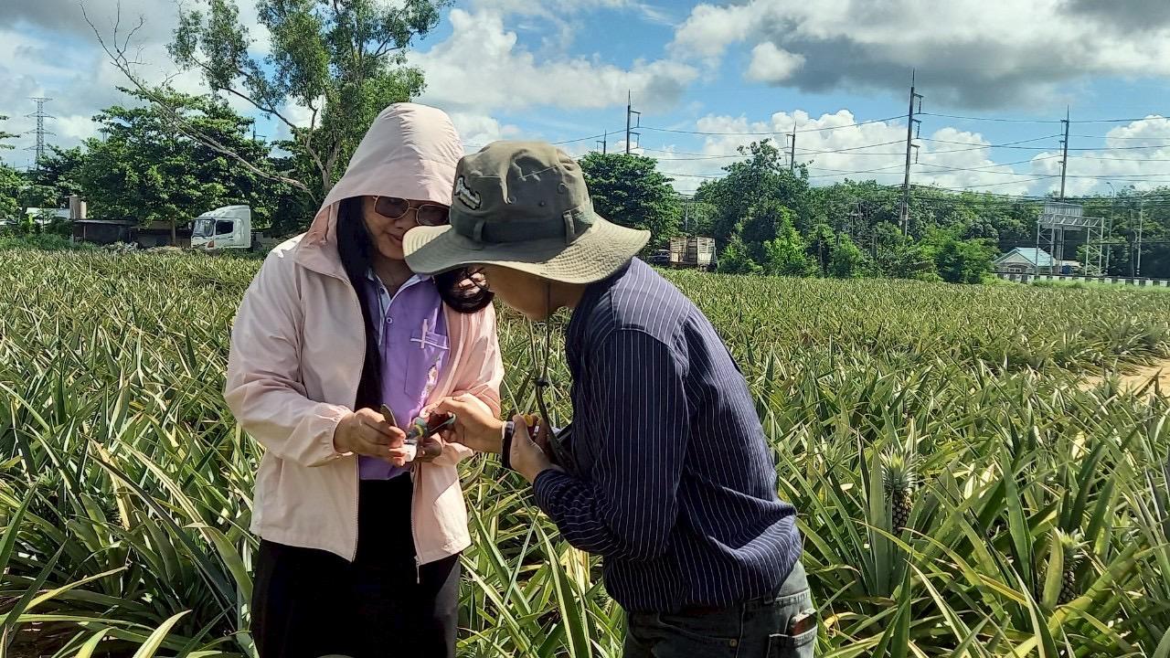 ภาพประกอบที่ 1