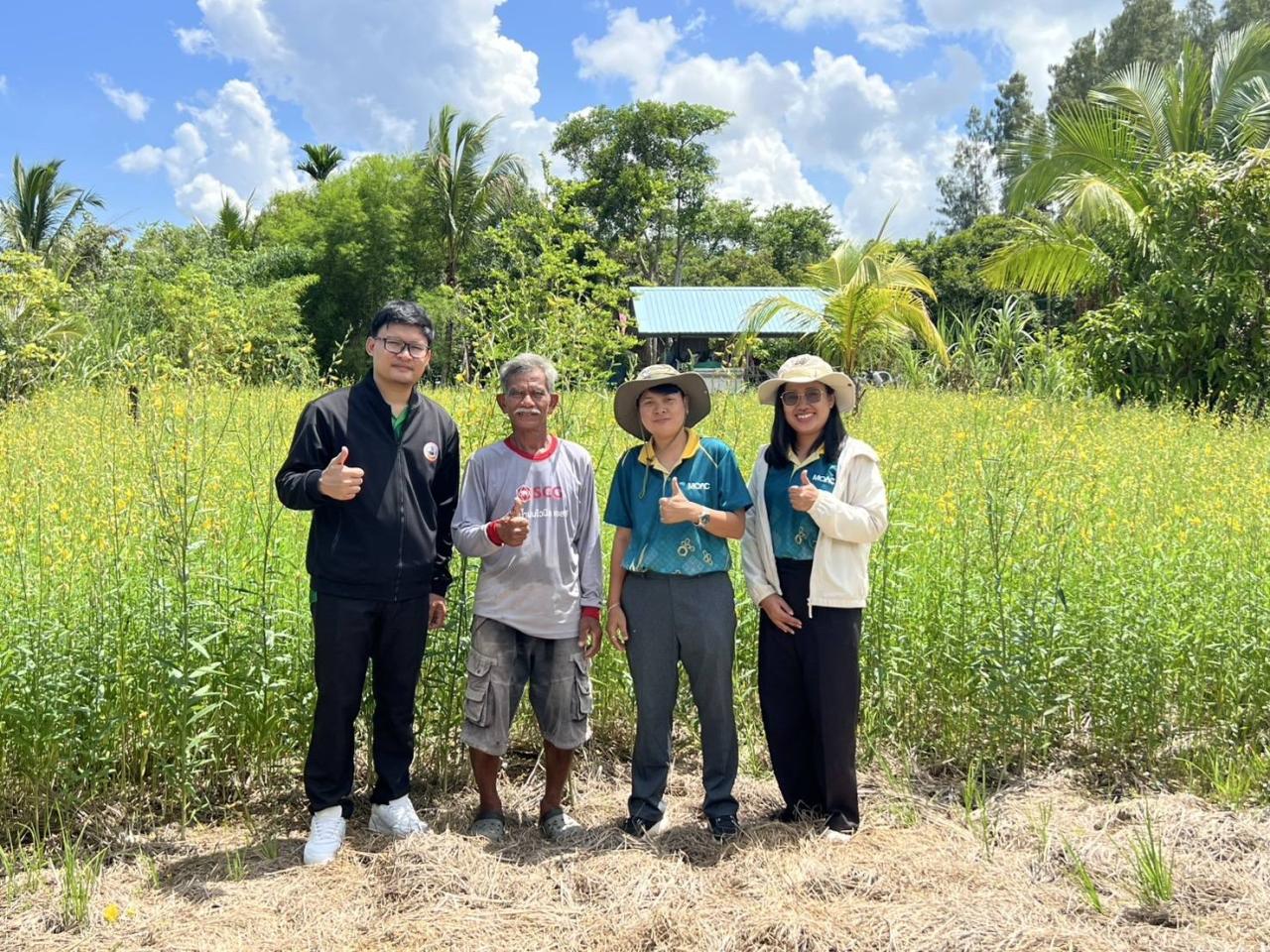 ภาพประกอบที่ 0