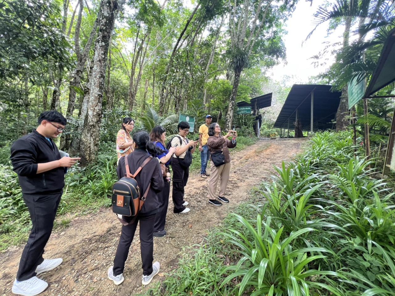 ภาพประกอบที่ 6