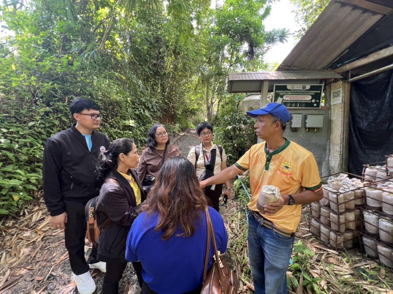 ภาพประกอบที่ 11