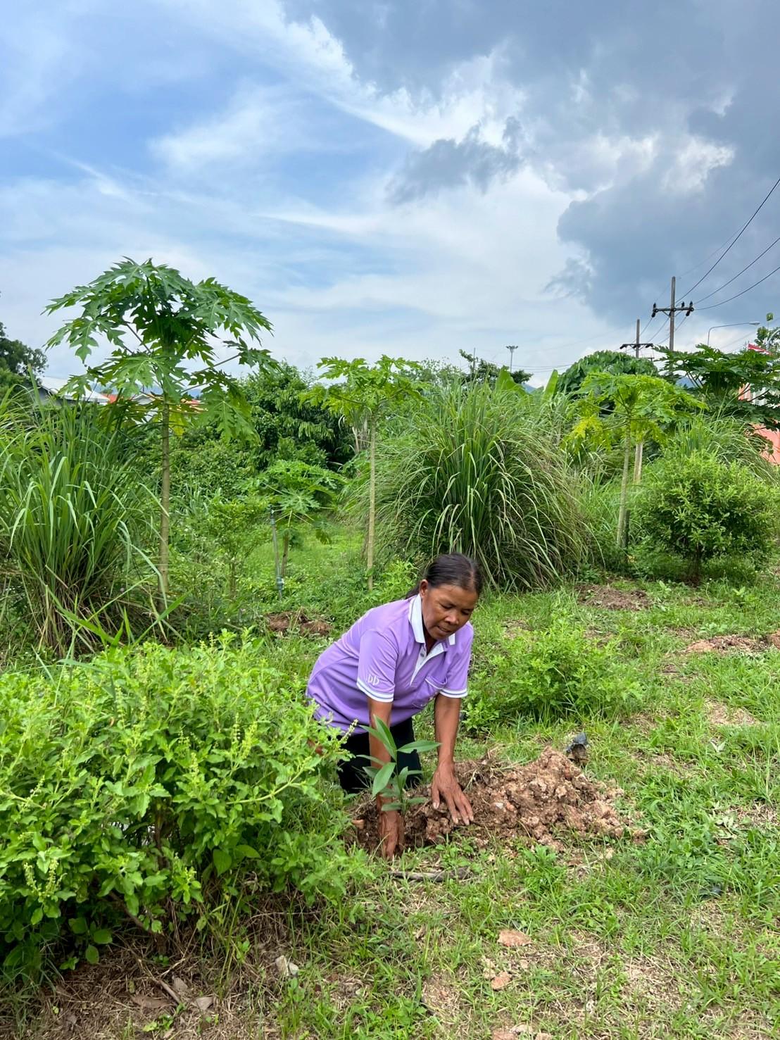 ภาพประกอบที่ 12