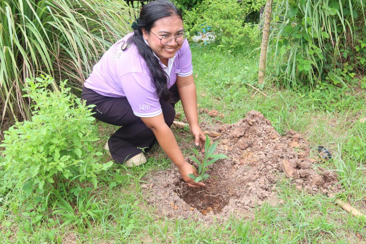ภาพประกอบที่ 11