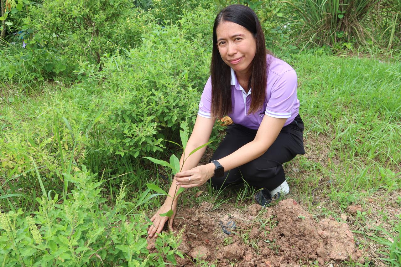 ภาพประกอบที่ 5