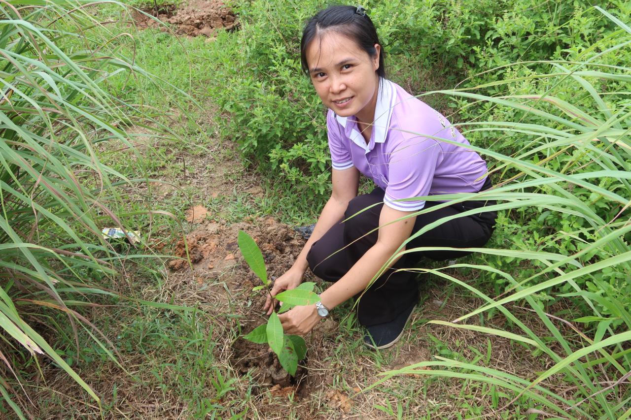 ภาพประกอบที่ 4