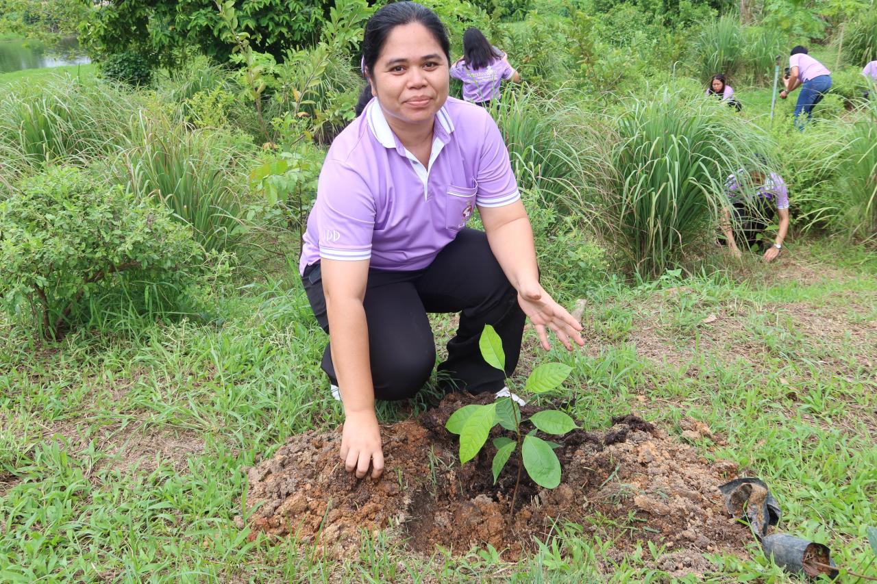 ภาพประกอบที่ 2
