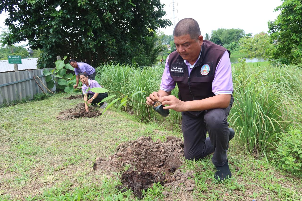 ภาพประกอบที่ 0