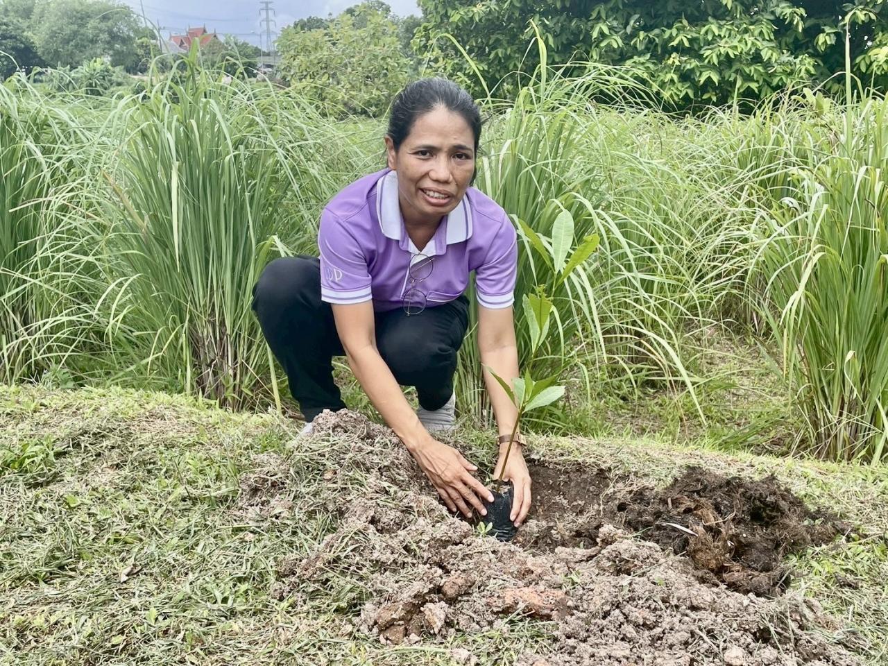ภาพประกอบที่ 1